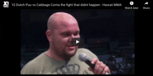 Dutch Puu vs Cabbage Corria